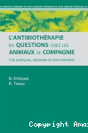 L'antibiothérapie en questions chez les animaux de compagnie