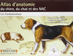 ATLAS D'ANATOMIE DU CHIEN DU CHAT ET DES NAC LES FONDAMENTAUX
