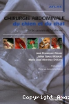 CHIRUGIE DE L ABDOMEN CHEZ LE CHIEN ET LE CHAT