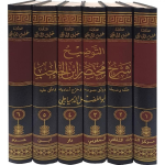 التوضيح شرح مختصر ابن الحاجب /مج6 vignette