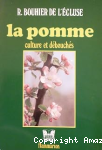 vignette