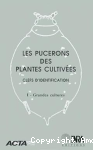 Les pucerons des plantes cultivées vignette