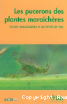 Les pucerons des plantes maraîchères vignette