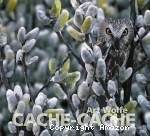 Cache-cache vignette
